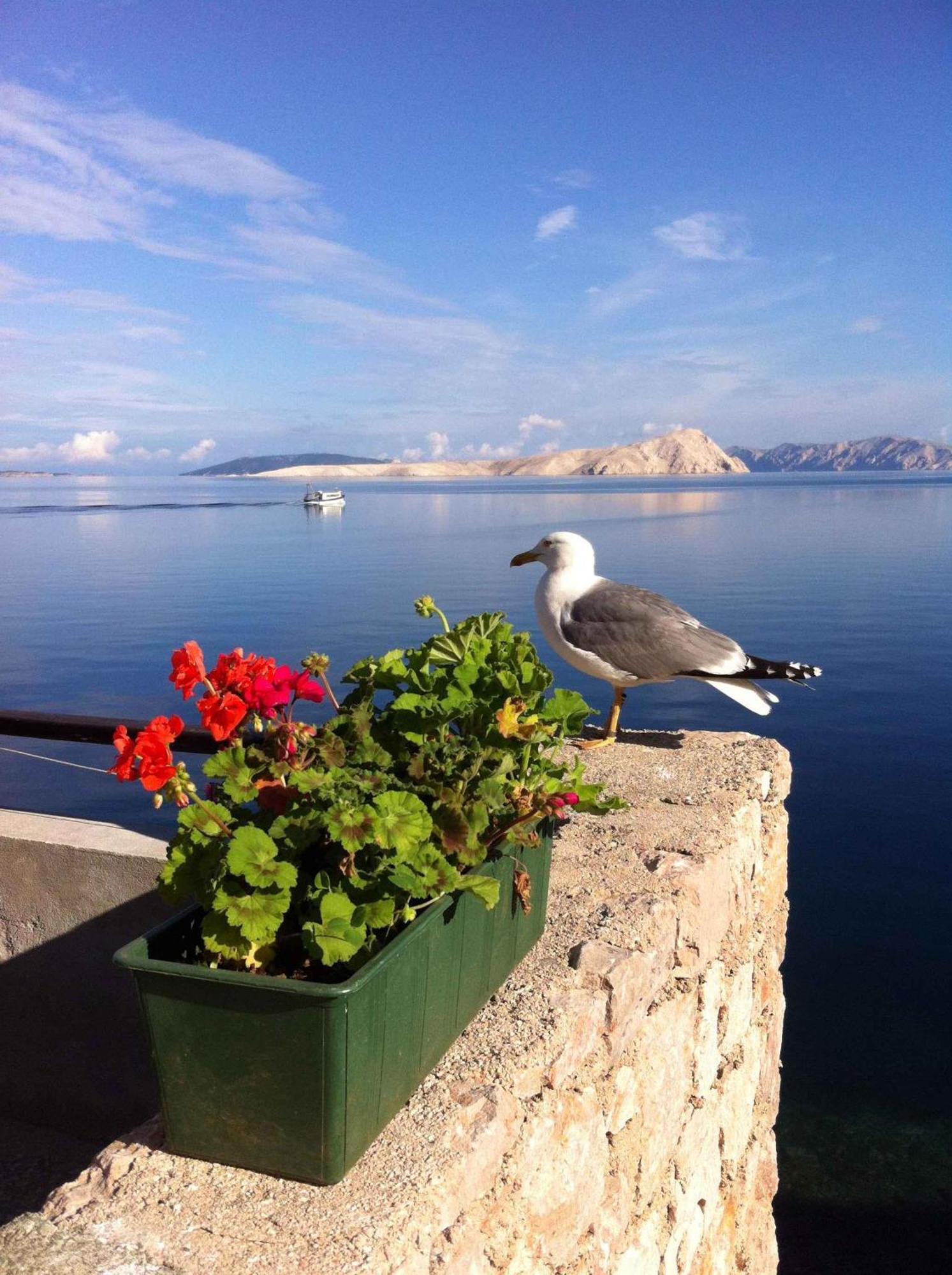 Apartment Starigrad/Senj 1 외부 사진